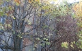 2007.10.jpg