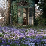 gartenpavillon-im-fruehling